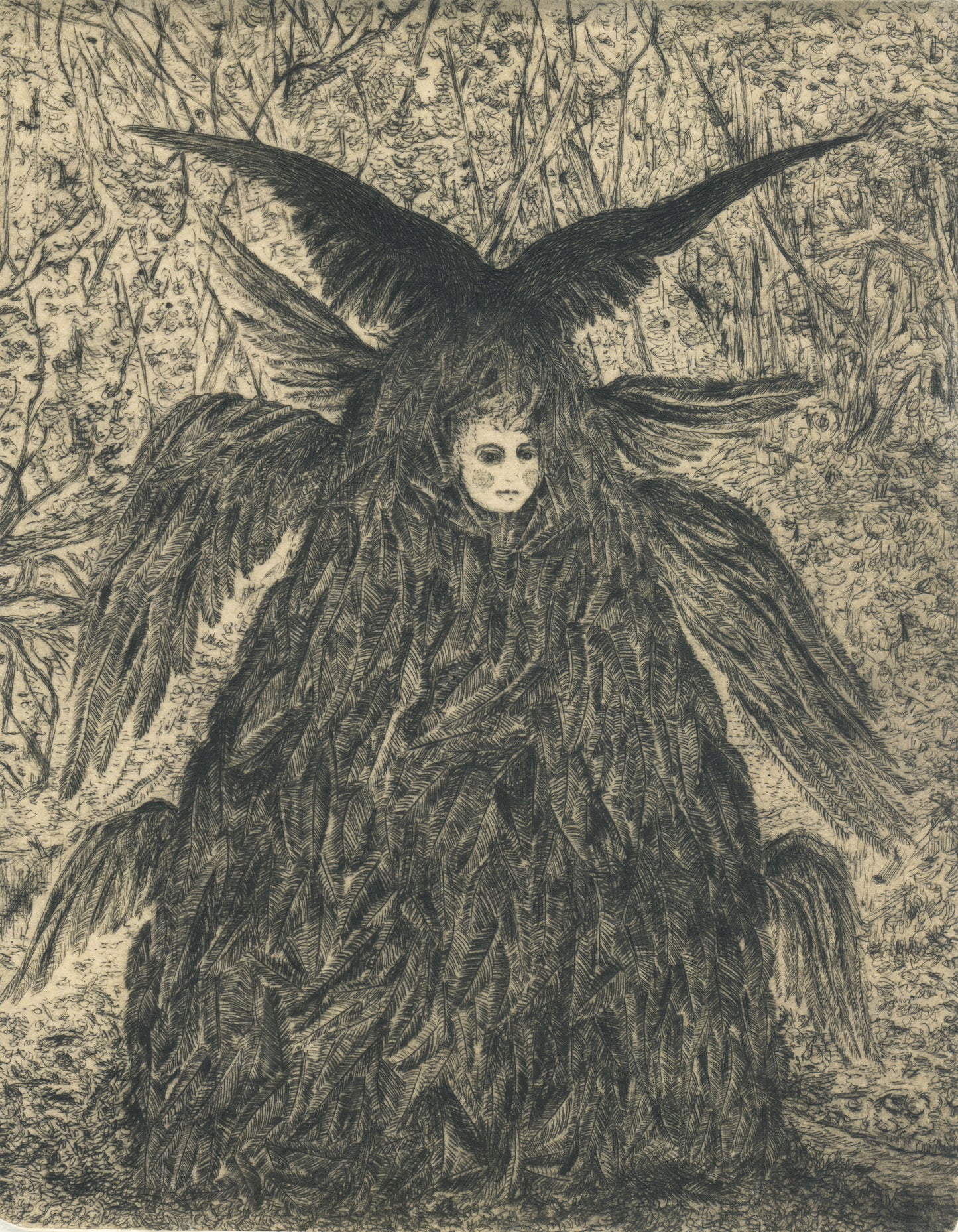Original artworks by Didier Hamey