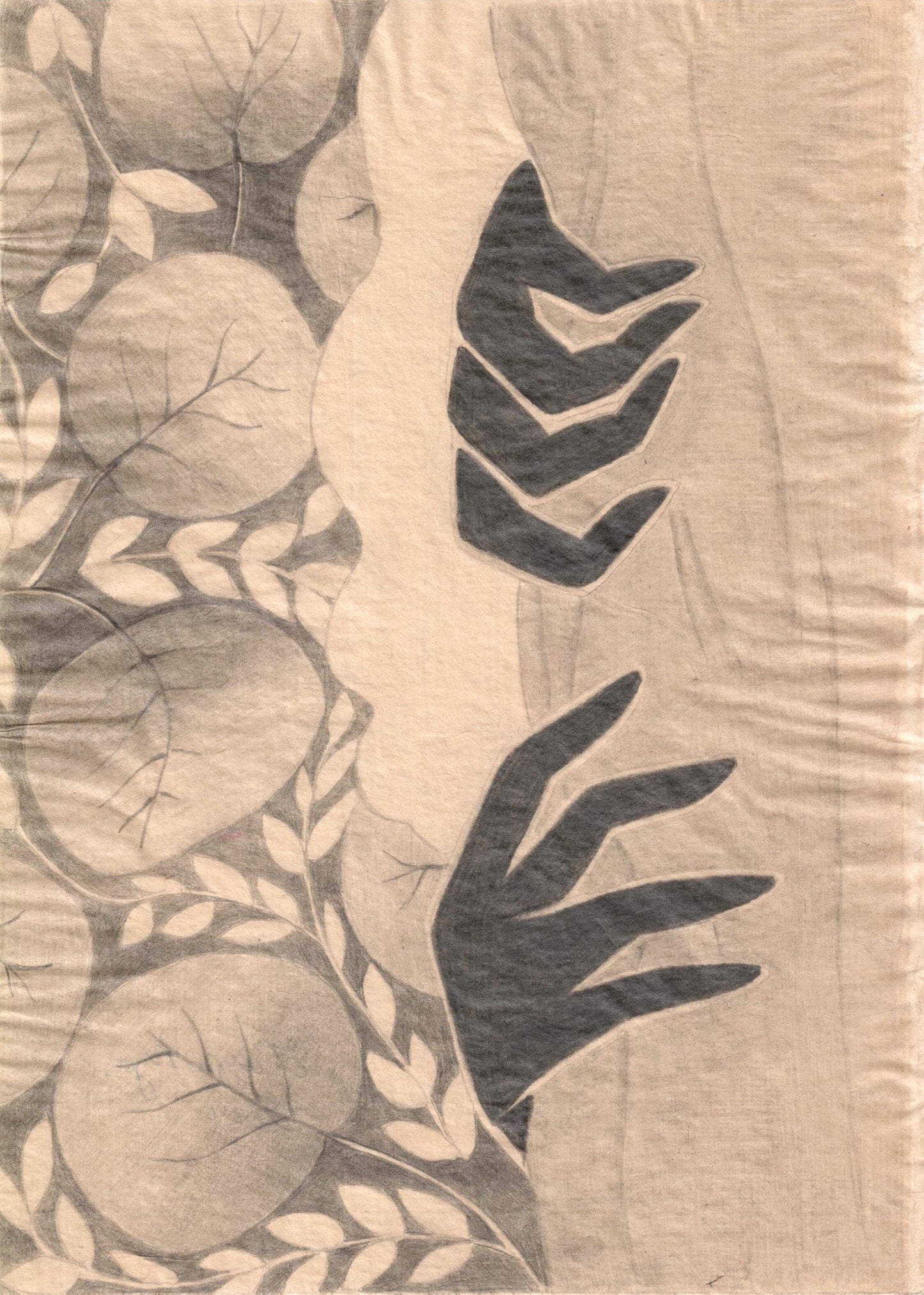 Curtains, 2021