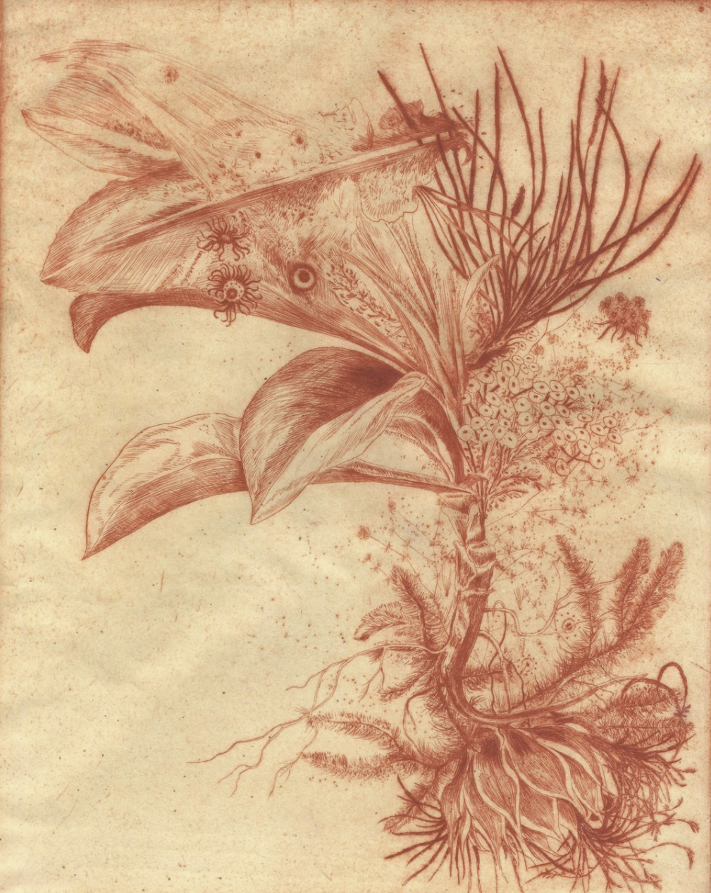 Etching by Didier Hamey