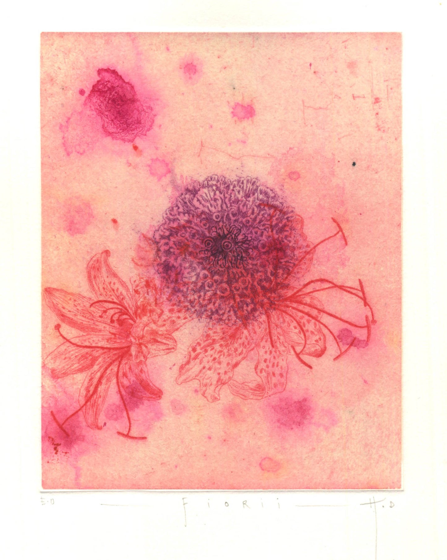 Etching by Didier Hamey