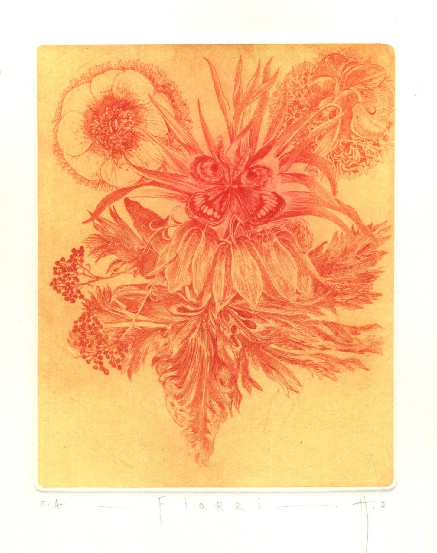 Etching by Didier Hamey