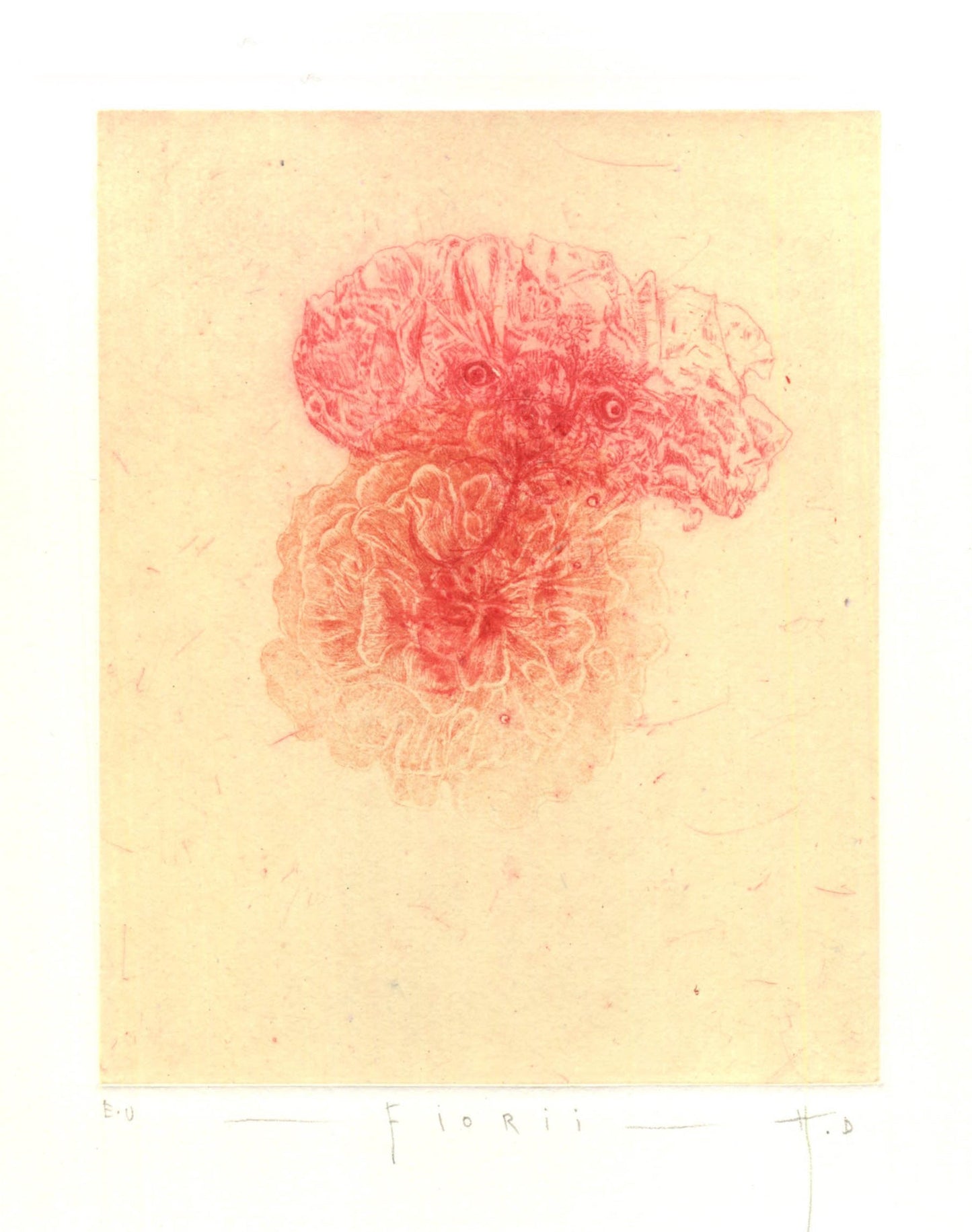Etching by Didier Hamey
