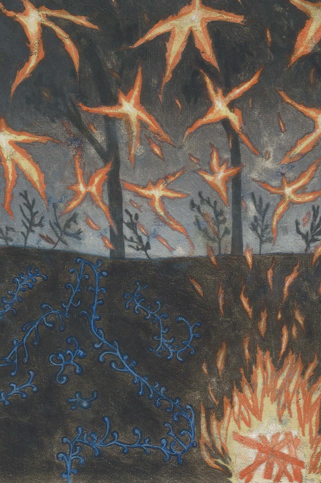 OTOÑO ANDINO-GASKINS