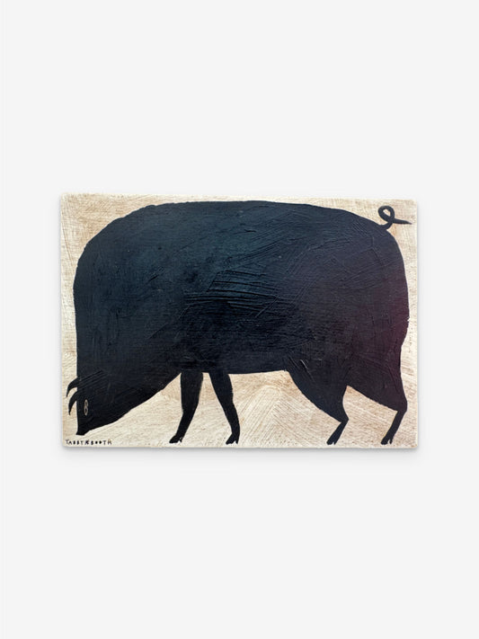 PIG, 2025